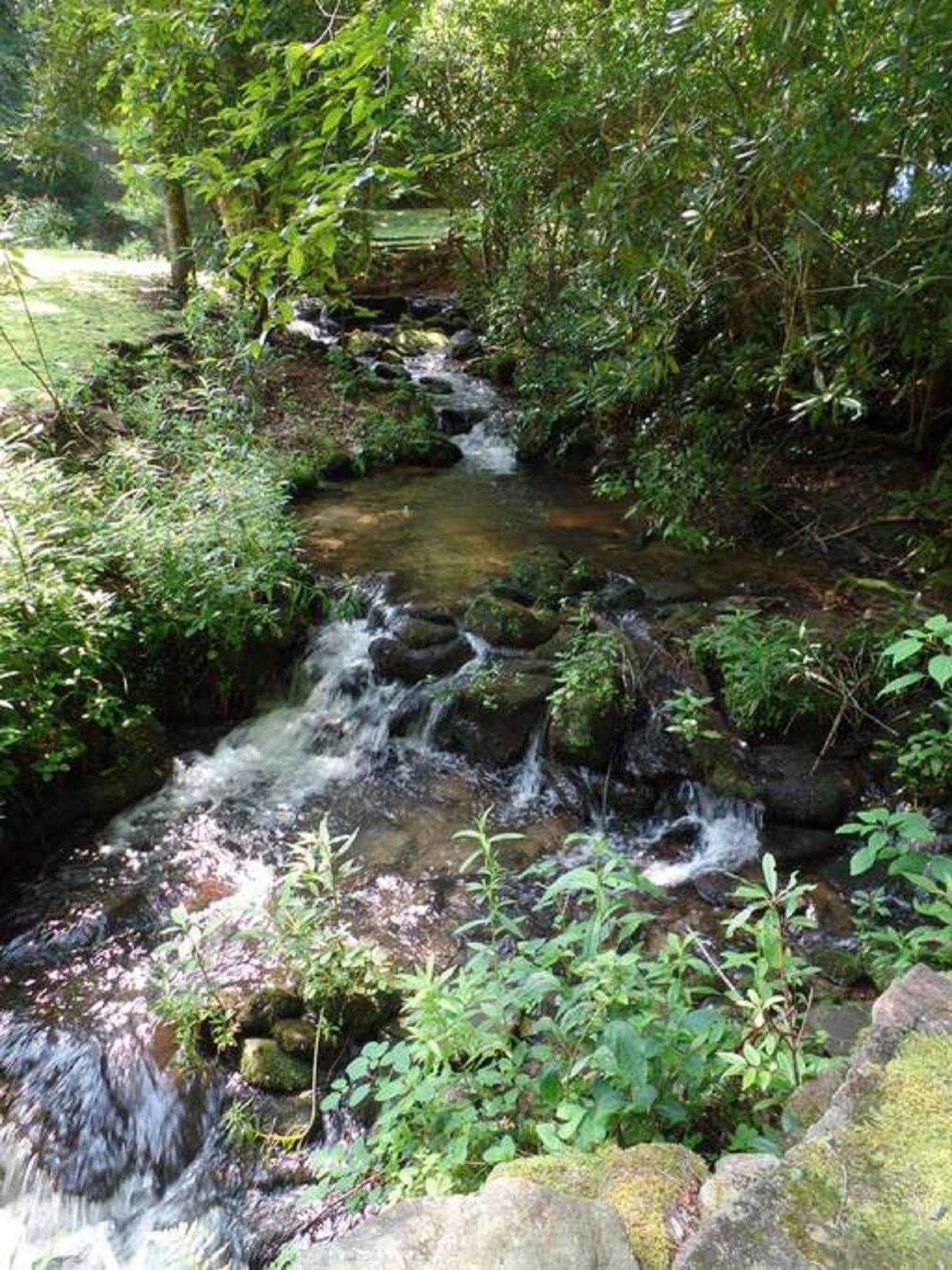 Creekside Paradise Bed And Breakfast Robbinsville Εξωτερικό φωτογραφία
