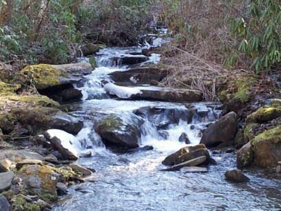 Creekside Paradise Bed And Breakfast Robbinsville Εξωτερικό φωτογραφία